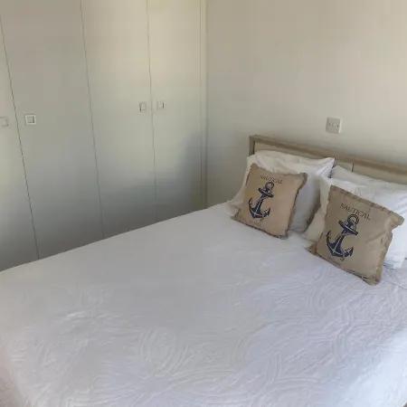 Willa Olive Tree -